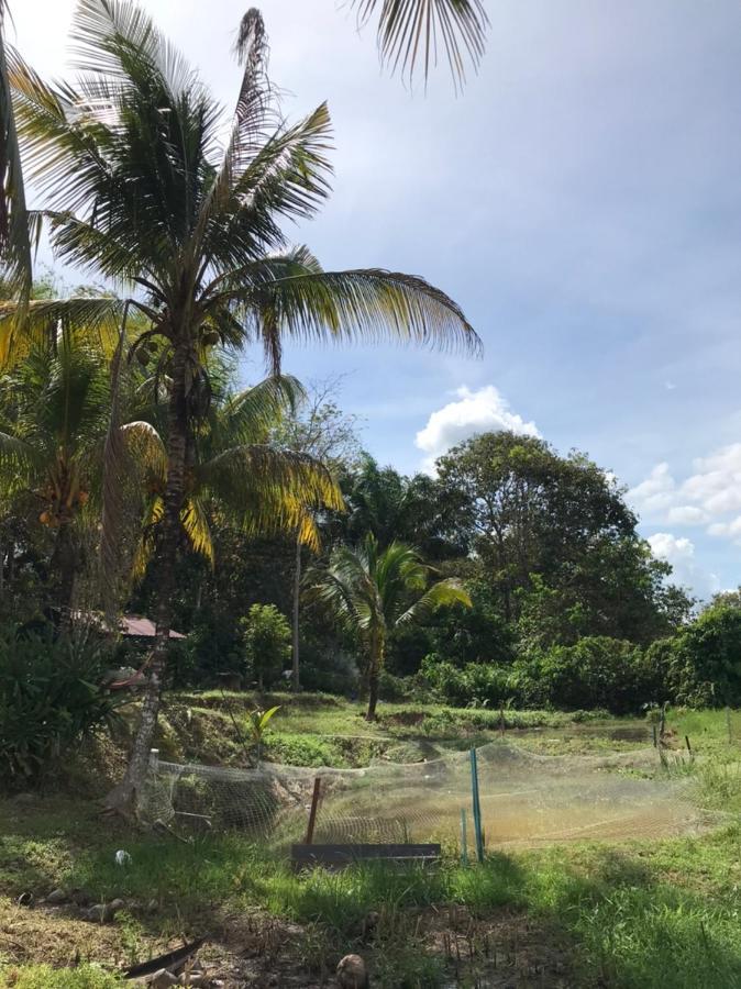 Homestay Bendang Hilir Kuala Nerang Exterior foto